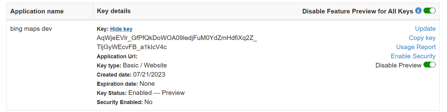 bing maps key detail